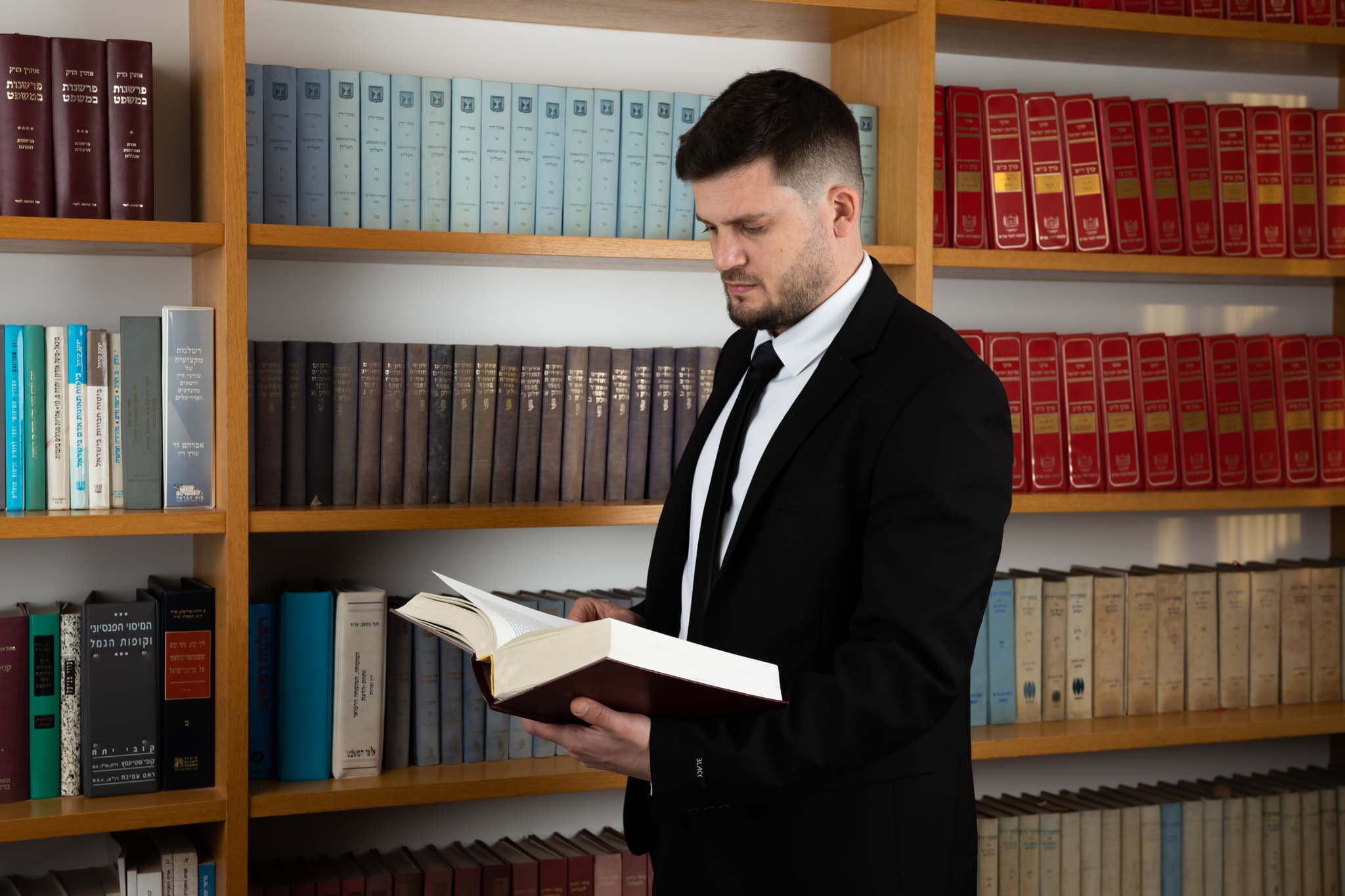 תמונת כללית לתיאור